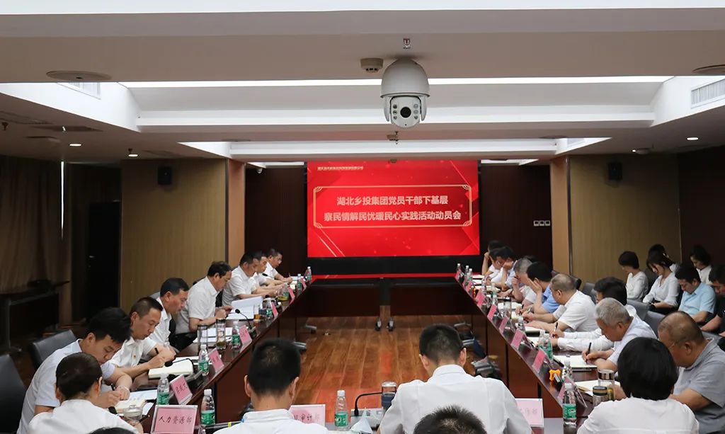 湖北乡投集团召开党员干部下基层察民情解民忧暖民心实践活动动员部署会