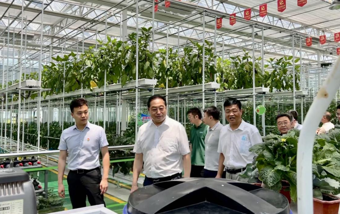 吕克宪一行赴山东考察调研党建引领乡村振兴项目