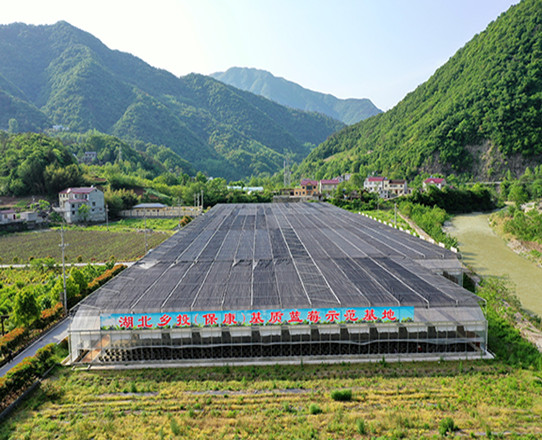推进耕、种、管、收“六统一”模式<br>搭建现代农业综合农事服务中心；<br>