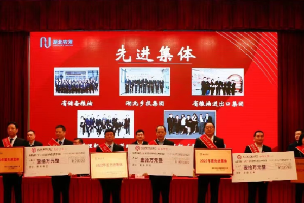 1湖北乡投集团获湖北农发集团先进集体荣誉  罗蓉_副本.png