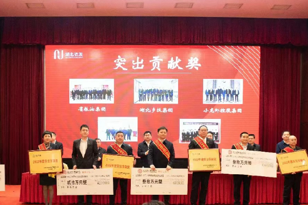 2湖北乡投集团获湖北农发集团突出贡献奖 罗蓉_副本.png