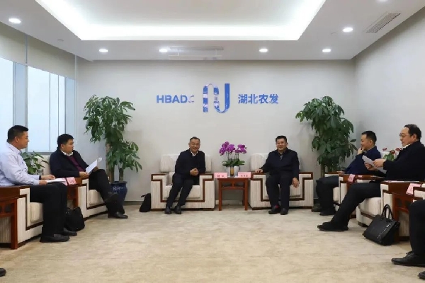 湖北农发集团与孝昌县开展座谈交流