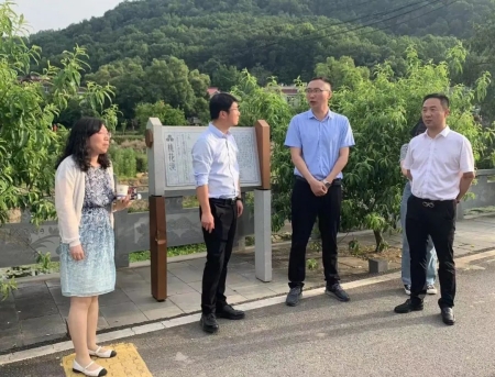 福建省自然资源厅耕地保护监督处副处长陈艳华一行考察调研湖北乡投集团汀祖镇全域项目