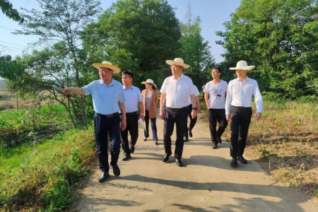 吕克宪调研荆门市东宝区农事服务项目