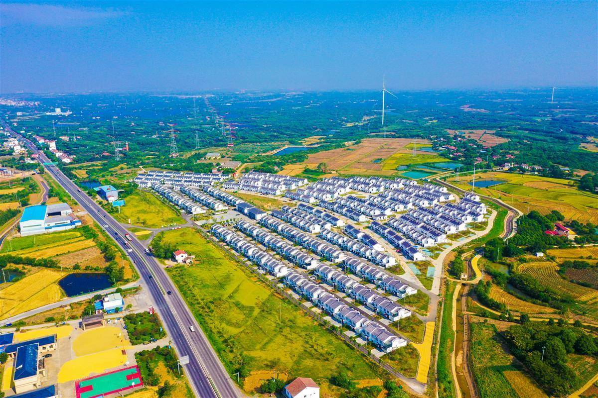 媒体聚焦：中央、省级主流媒体关注报道沙洋县沈集镇全域国土综合整治项目