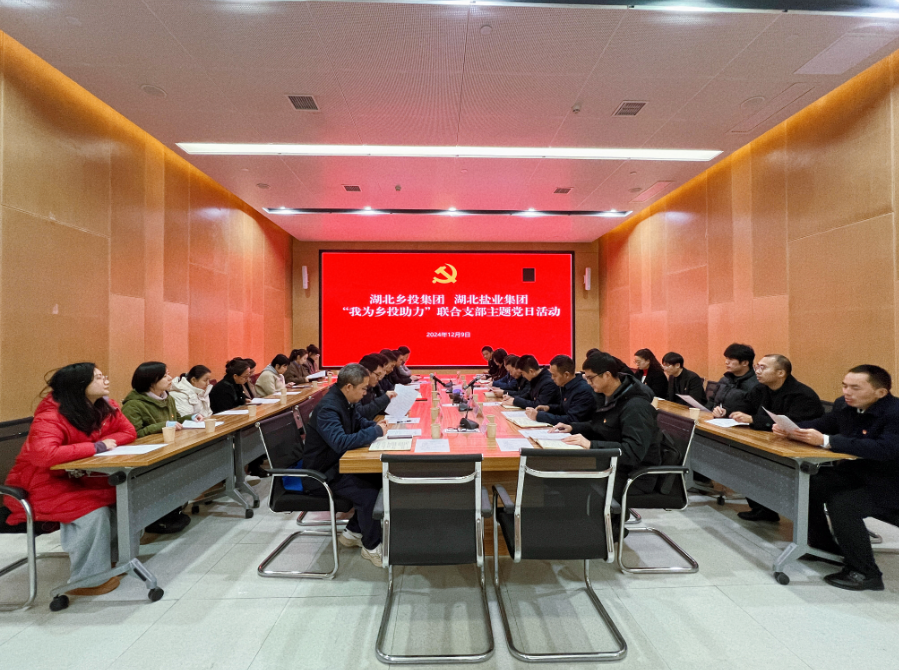 湖北乡投集团联合湖北盐业集团开展“我为乡投助力”党建联建活动